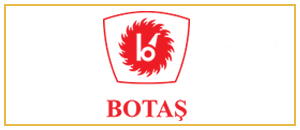 Botas